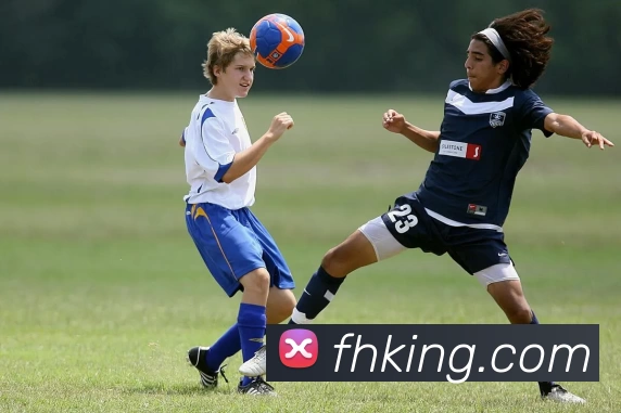 多媒体互动体验